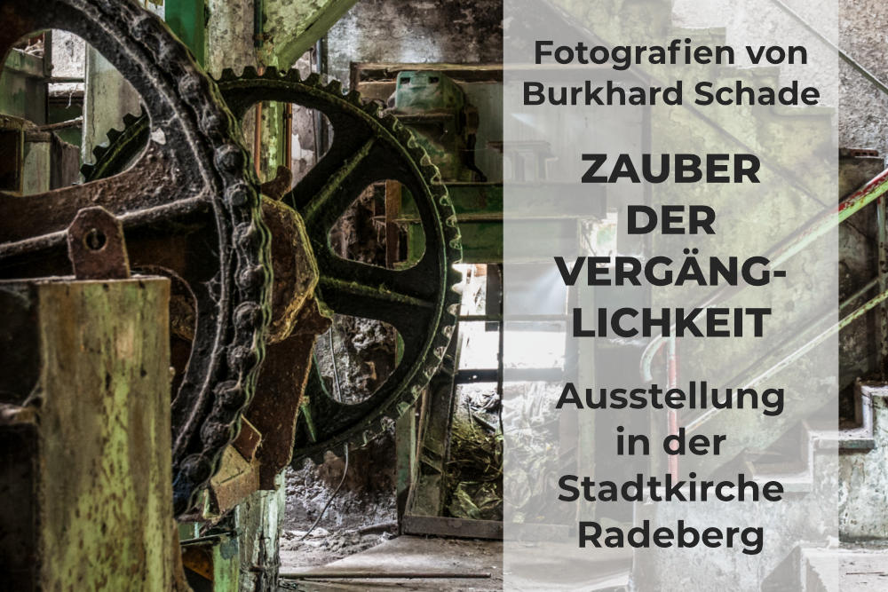 Mehr über den Artikel erfahren Ausstellung: Zauber der Vergänglichkeit