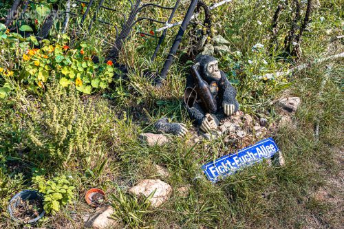 2025 Hambacher Forst